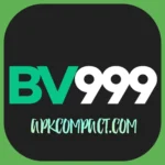 BV999 Game