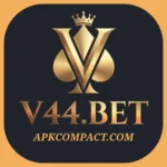 V44 Bet game